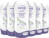 Andrélon Zijdeglans & Zen Conditioner - 6 x 300 ml - Voordeelverpakking