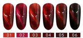 Prachtige Shellac Cateye Manicure set met 6 verschillend nagellak kleuren met gratis magneet - Gel nagellak