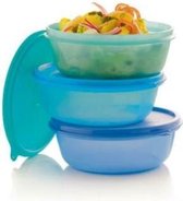 Tupperware Ruimtesschaaltjes / Mengkommen 600 ml (Set van 3)