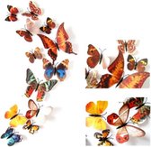 12 Mooie vlinders met magneet voor koelkast etc.
