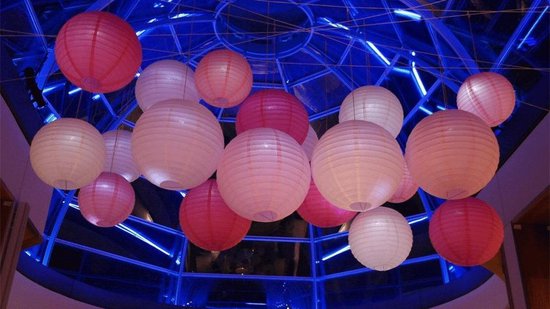 Lampater Roz 5 x Lampion roze 45 cm | bol