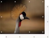 Tuinposter Vogel | 150 x 100 cm | PosterGuru