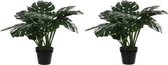2x Groene Monstera/gatenplant kunstplant 60 cm in zwarte pot - Kunstplanten/nepplanten 2 stuks