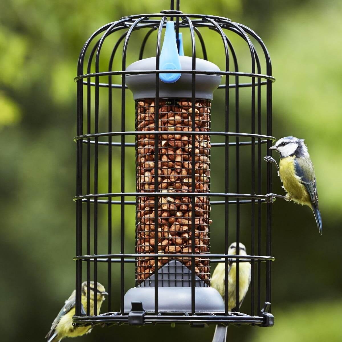 Petface Loktop Eekhoorn bestendige Pinda Feeder