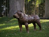 Tuinbeeld - bronzen beeld - Hond - 50 cm hoog