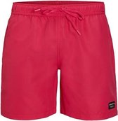 Bjorn Borg Swim Shorts Sebastian Maat Xl