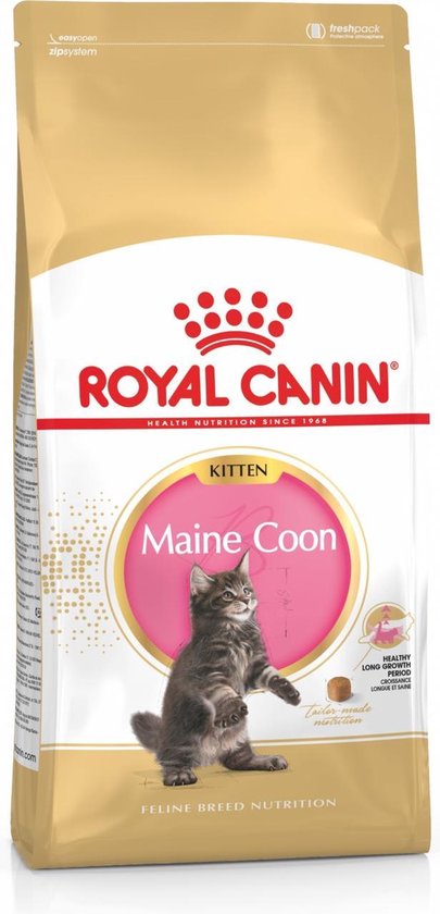 deeltje intelligentie ijzer bol.com | Royal Canin Maine Coon Kitten - Kattenvoer - 10 kg