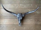 Longhorn skull 1 meter | Gani