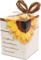 Zonnebloem Groeisetje Leuk Cadeautje