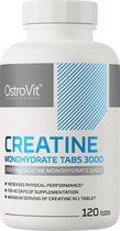 Creatine Supplementen - Creatine Monohydraat - Creatine Monohydrate - 3000 mg - 120 tabletten - OstroVit