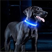 Luxe Lichtgevende Honden Halsband / Hondenriem | Halsband Voor Dieren | Glow In The Dark | Flashing Collar | One Size - Blauw