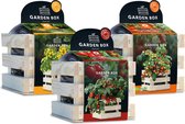 Baza Gardenbox Set Tomaten 1 set - Moederdag cadeau