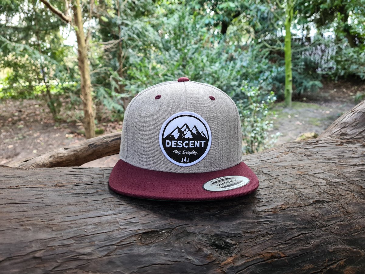 Descent - Flexfit - Pet - Cap - Grijs - Bordeaux - Snapback - One size