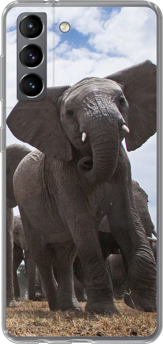 Telefoonhoesje Geschikt voor Samsung Galaxy S21 hoesje - Olifant - Dieren - Natuur - Vlakte - Siliconen Telefoonhoesje Telefoonhoesje