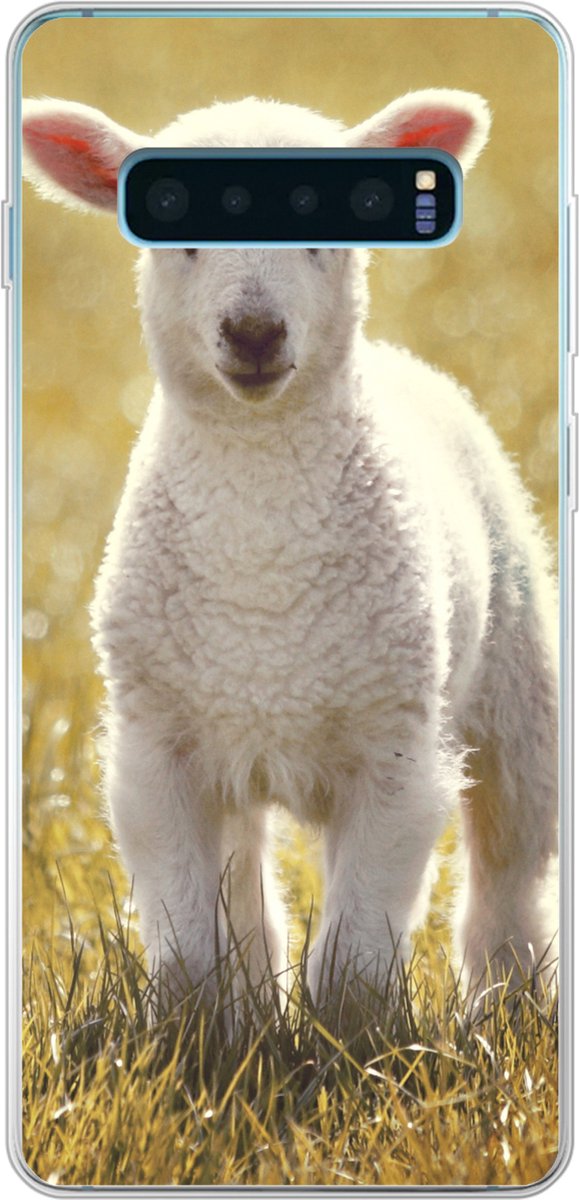 Telefoonhoesje Geschikt voor Samsung Galaxy S10 Plus hoesje - Schaap - Gras - Zon - Siliconen Telefoonhoesje Telefoonhoesje