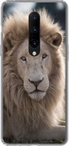 Geschikt voor OnePlus 7 Pro hoesje - Leeuw - Dier - Wit - Siliconen Telefoonhoesje