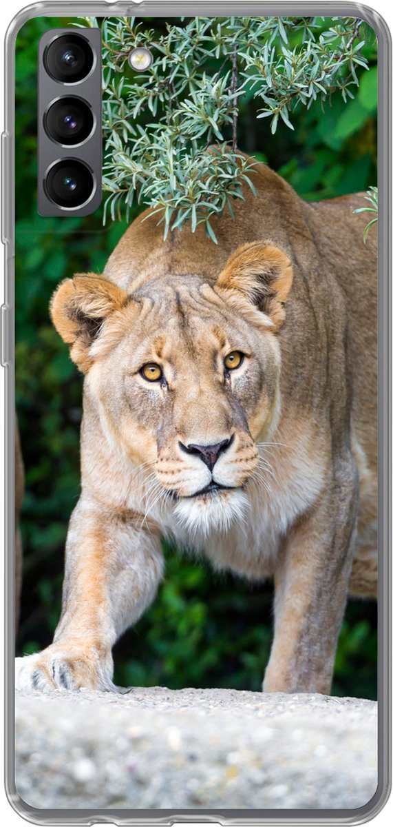 Telefoonhoesje Geschikt voor Samsung Galaxy S21 Plus hoesje - Leeuwinnen - Wilde dieren - Jacht - Siliconen Telefoonhoesje Telefoonhoesje