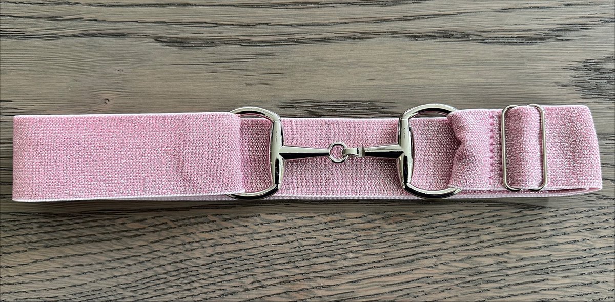 Paardrijriem - Glitter Roze - Zilver - Trensriem - Paardrij Riem - Paardrijden - Riemen