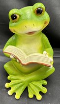 Decoratief polyresin dier met boek "zittende kikker" - groen - hoogte 15x9x9 cm - Voor binnen of buiten - Tuinaccessoires - Woonaccessoires - Decoratieve beeldjes