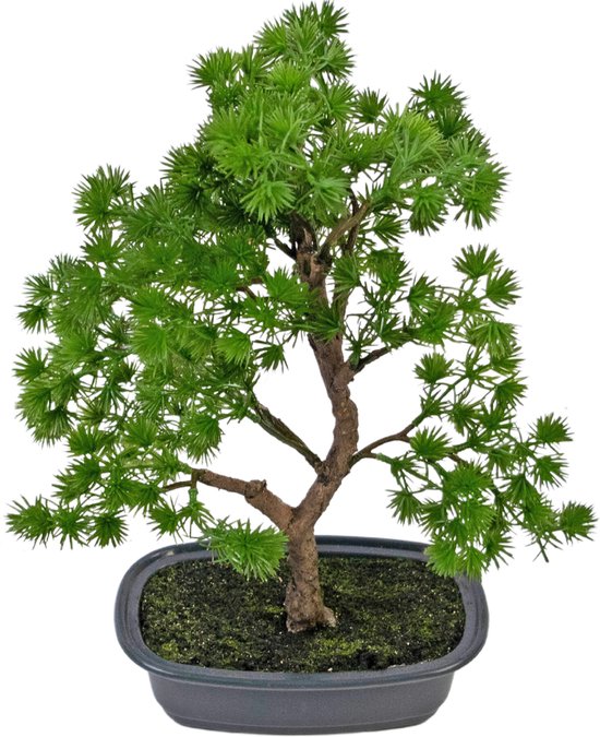Greenmoods Kunstplanten - Kunstplant - Bonsai Juniper - Zijde - 30 cm