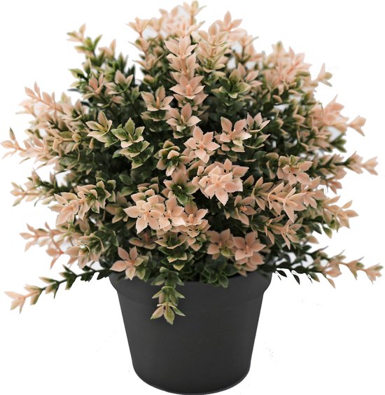 Plante artificielle Buxus rose 22cm UV - pour l'intérieur et l'extérieur