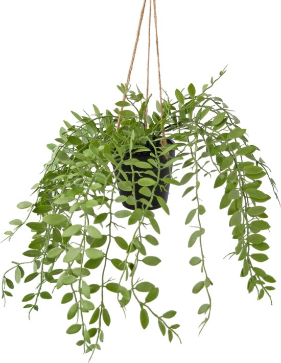 Greenmoods Kunstplanten - Kunstplant - Hangplant - Pumila - In pot - 30 cm