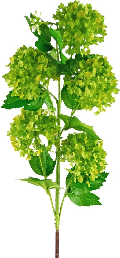 Greenmoods Kunstplanten - Kunstplant - Kunsttak - Sneeuwbal - Zijde - Groen - 77 cm