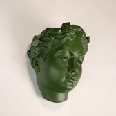 Furni24 Bloempot, buste, 18 x 18 x 12 cm, groen