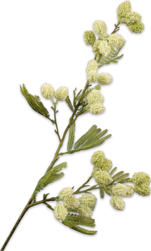 Silk-ka Fleur Artificielle- Bloem Branche de Mimosa Crème 83 cm