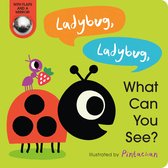 What Can You See?- Ladybug, Ladybug, What Can You See?