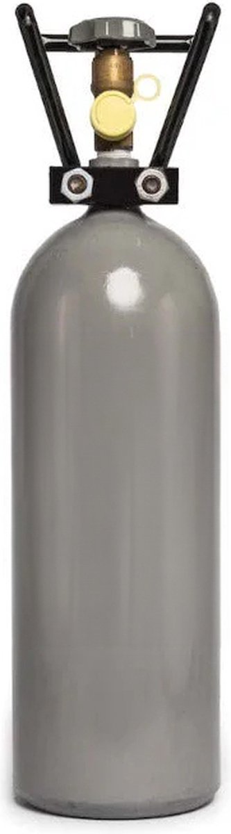 Dennerle CO2 fles hervulbaar - Inhoud: 2000 g