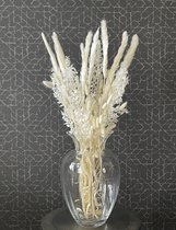 droogbloemen boeket - droogbloemen neutral - stelen tot 75 cm - pampas pluimen