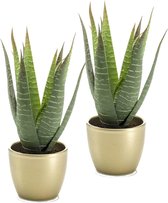 Kunstplant Aloe Vera - 2x - groen - in gouden pot - 23 cm