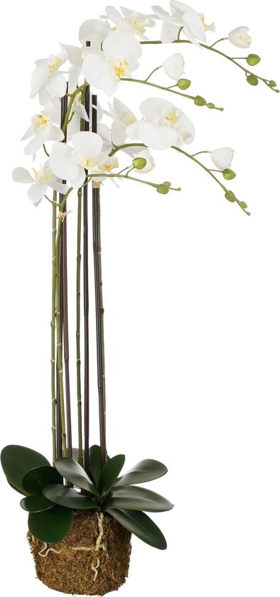 Mica Decorations Kunstplant Phalaenopsis - 30x19x99 cm - Polyester - Wit