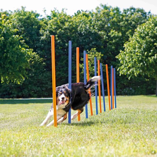 Trixie Dog Activity Agility Slalom - Blauw/Oranje - 115 x 3 cm - 12 St