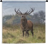 Wandkleed - Wanddoek - Hert - Gewei - Gras - 60x60 cm - Wandtapijt