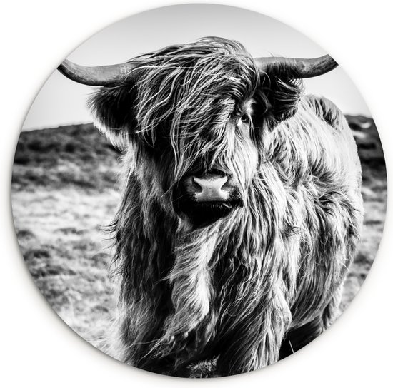 Muurcirkel - Wandcirkel - Schotse hooglander - Natuur - Koe - Zwart-wit - Kunststof - Ronde schilderijen - 120x120 cm - Wandcirkel zwart wit - Muurcirkel Schotse hooglander - Wanddecoratie rond