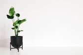 Zwarte plantenpot met plantenstandaard - metalen plantenpotten indoor plantenbak 22cm grote bloempot