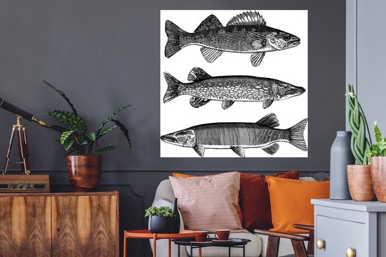 Stickers Stickers muraux - trois poissons - 100x100 cm - Feuille adhésive XXL