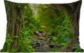 Buitenkussens - Tuin - Natuur - Water - Jungle - Bos - Tropisch - 50x30 cm