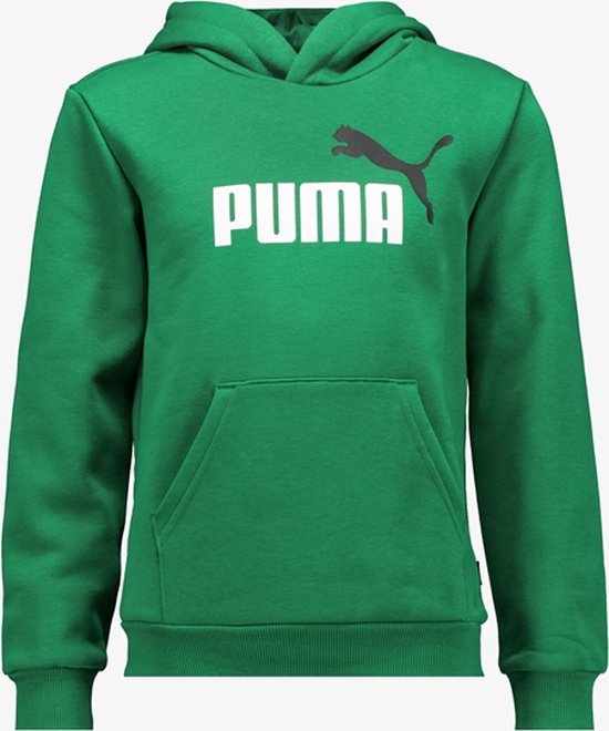 PUMA ESS+ 2 Col Big Logo Hoodie FL B FALSE Trui - Archive Green