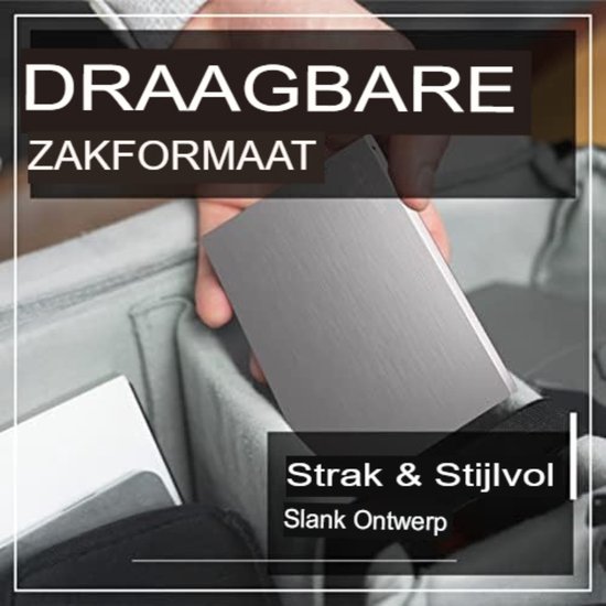 SAMBA SCHOENEN - Zilver | Officiële Shop