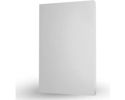 Harde schijf extern - 320 GB - Zilver