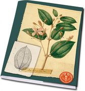 Schrift A5: Herbarium, Naturalis Biodiversity Center - Gratis Verzonden