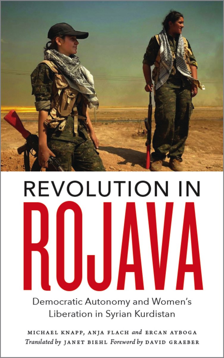 Revolution In Rojava - Michael Knapp
