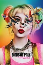 Poster Birds of Prey Dazed and Confused 61x91,5cm