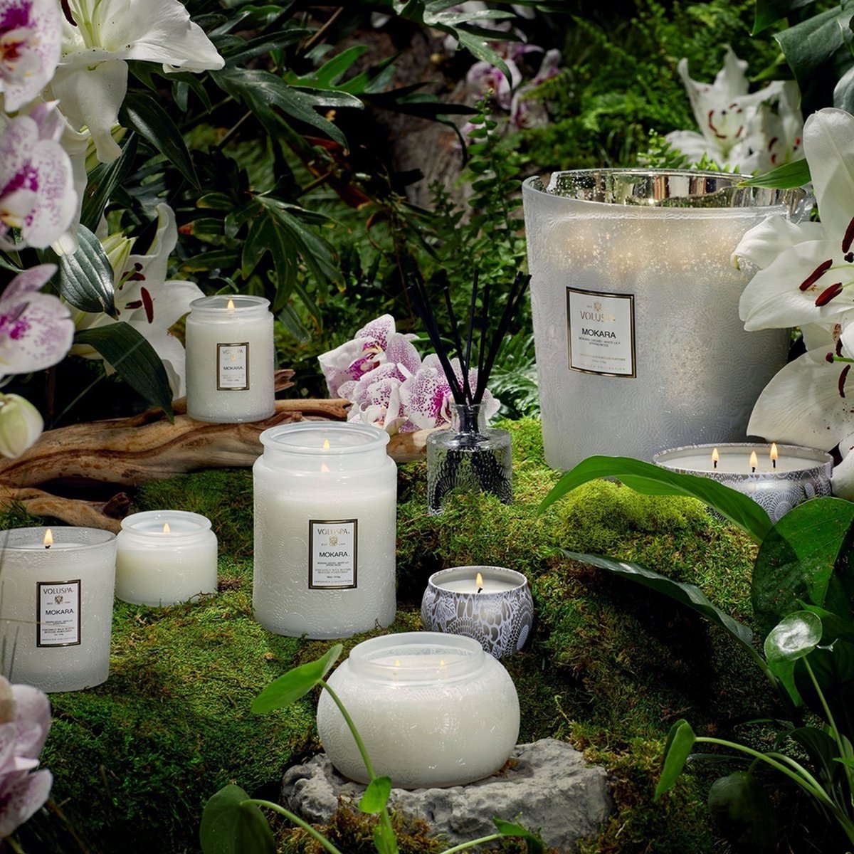 Voluspa Geurkaars Japonica Collection Mokara Petit Jar Candle 90gr