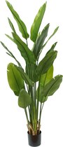 Strelitzia Kunstplant 180cm | Kunst Strelitzia | Kunstplanten voor Binnen | Grote Strelitzia Kunstplant | Nepplant | Strelitzia kunstplanten | Strelitzia Nicolai kunstplant