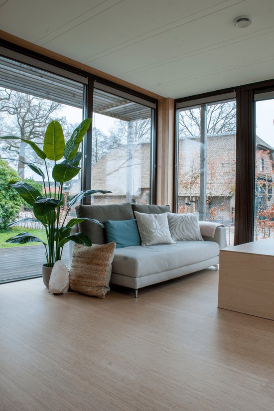 Lichtgrijze bank met blauwe, beige en witte kussens. Naast een grote groene bananenplant.