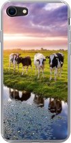 Geschikt voor iPhone 7 hoesje - Koeien tijdens een zonsondergang - Siliconen Telefoonhoesje